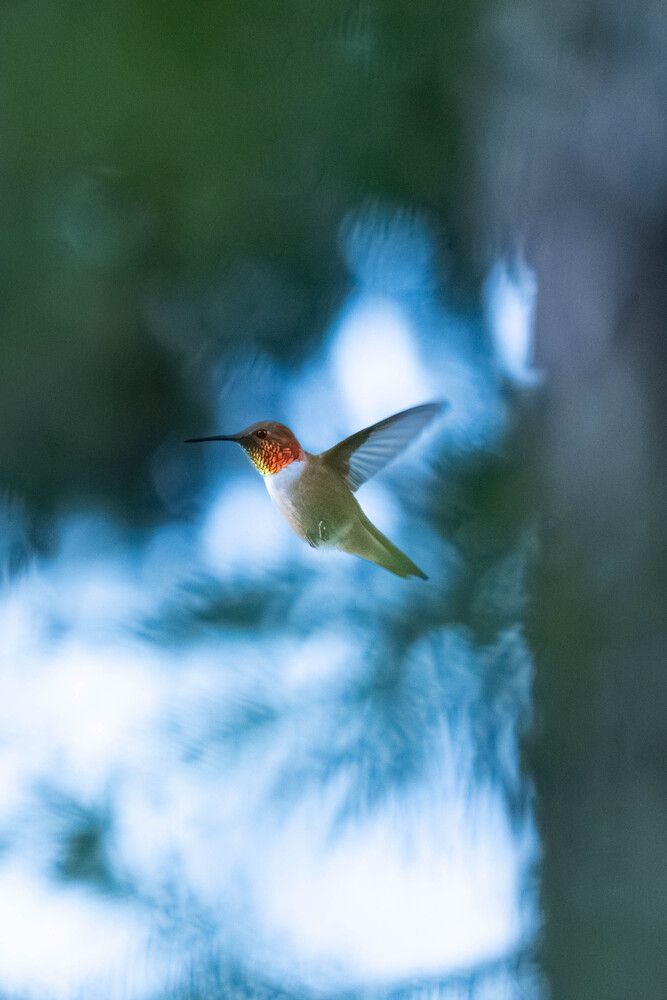 Photograph by Nikola Klarova