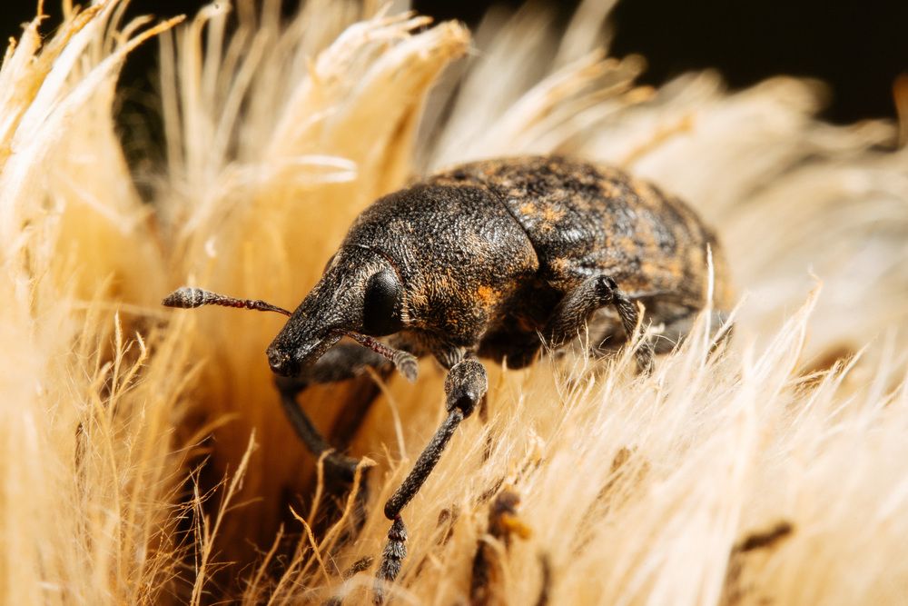 Photograph by Ольга Таланцева