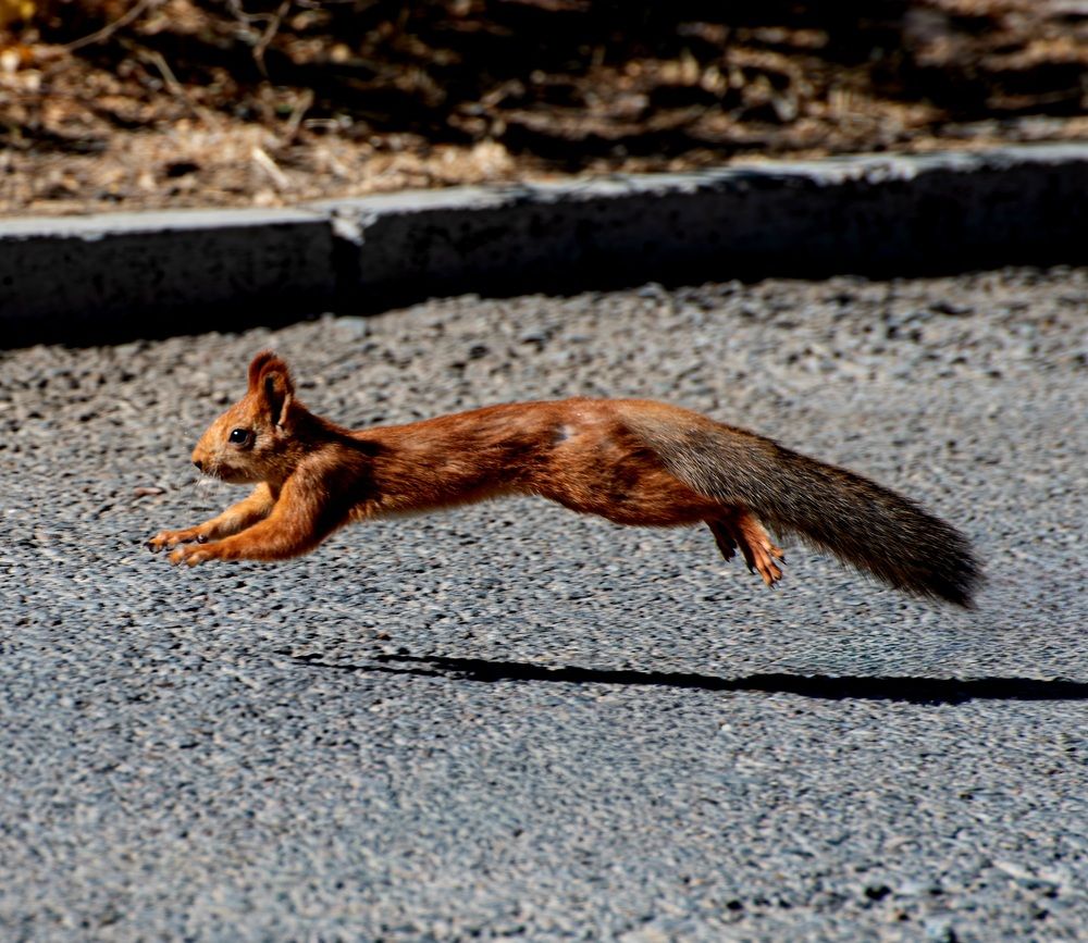 Photograph by Alena Redko