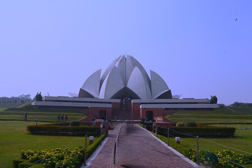 Lotus of Peace