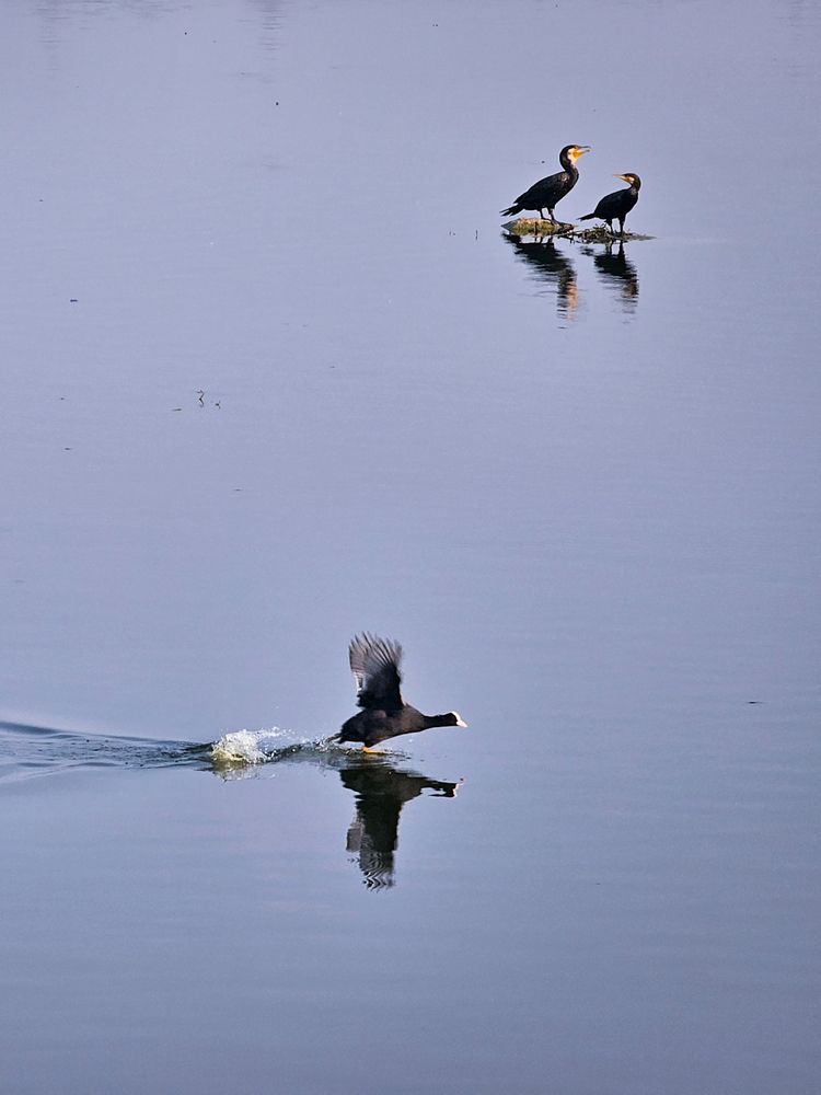 Photograph by Abhishek Pradhan
