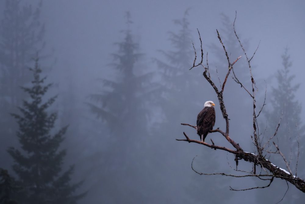 Photograph by Nikola Klarova