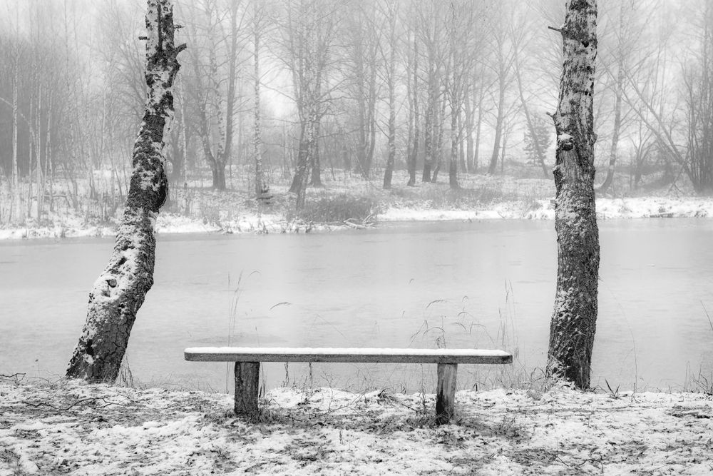 Photograph by Алексеев Дмитрий
