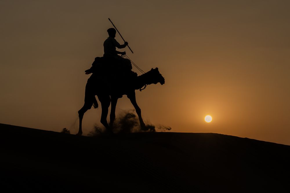 Racing the Desert Wind