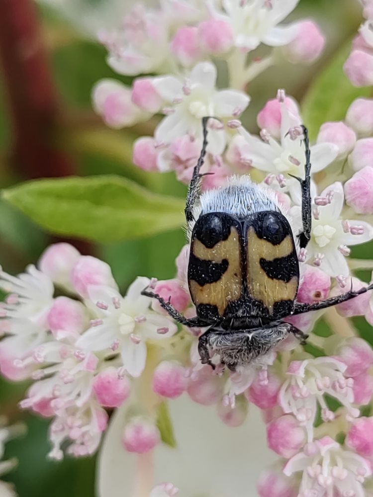 Photograph by Алёна С-К