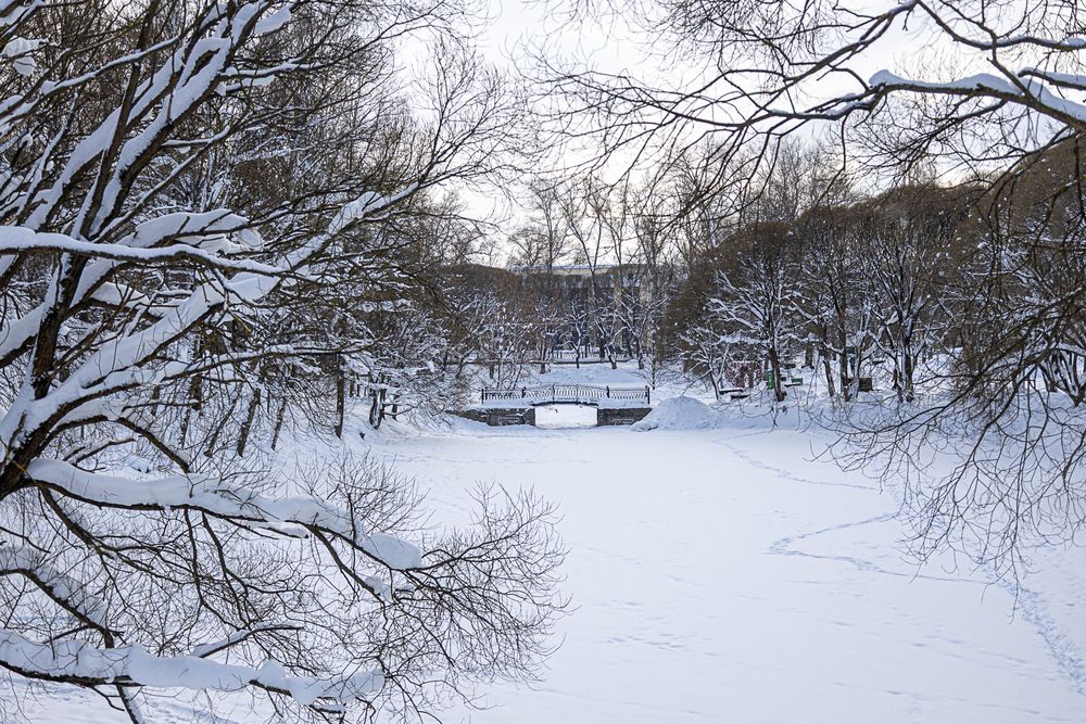 Photograph by Наталья Катюжанская