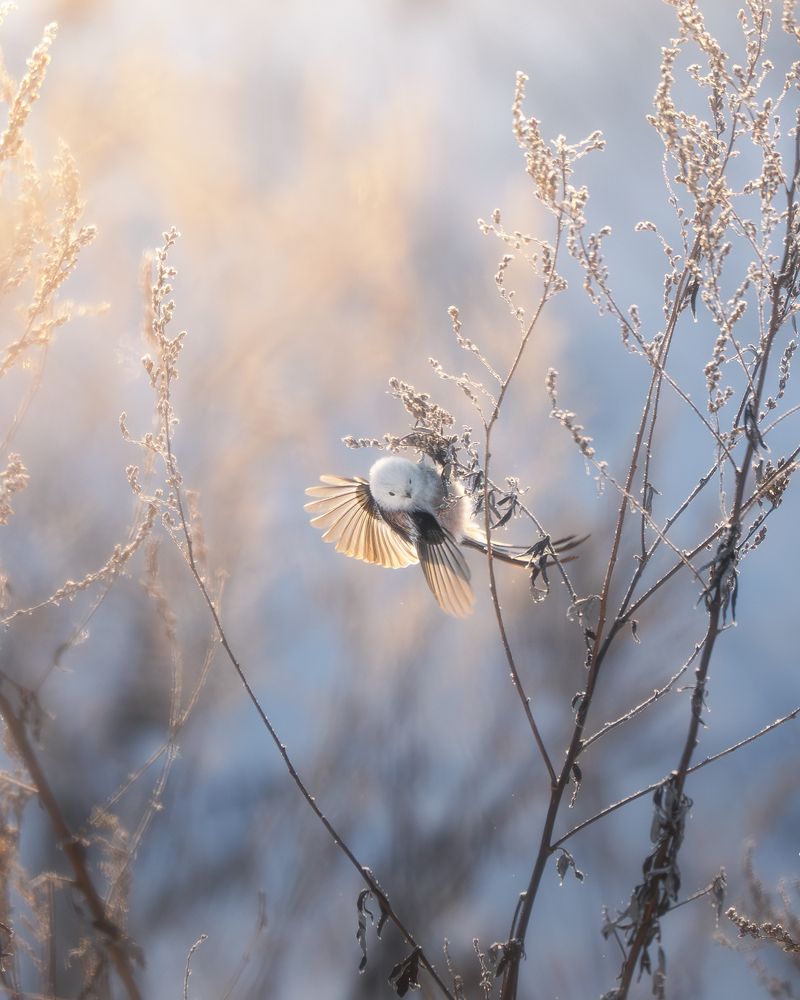 Photograph by Мозжухин Максим