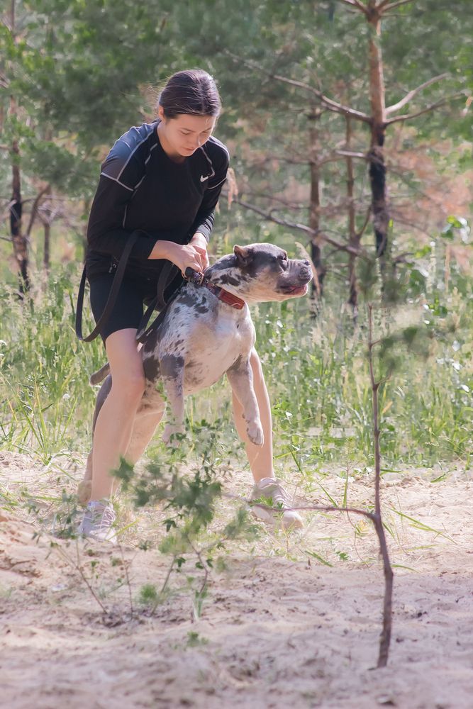 Photograph by Елена Ибрагимова