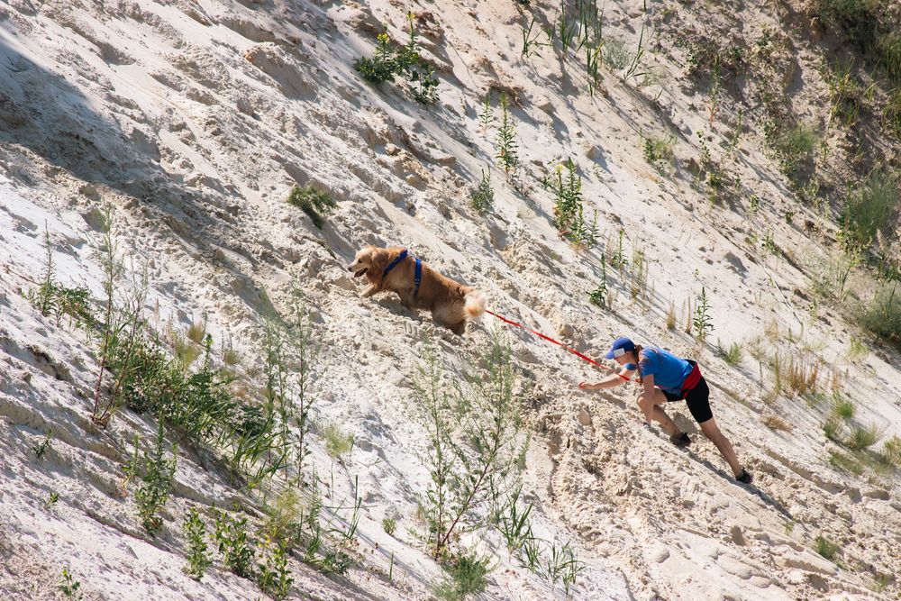 Photograph by Елена Ибрагимова