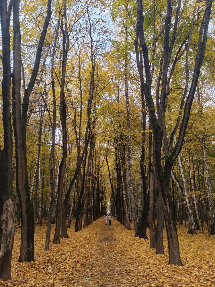 Photograph by Виталий Ратушный