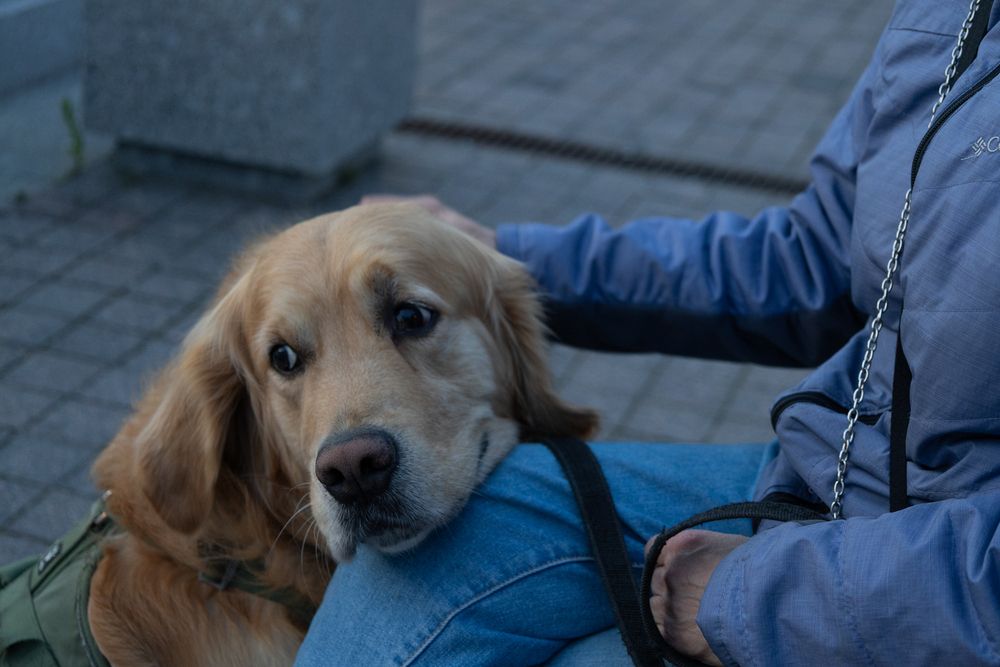 Photograph by Наталья Катюжанская