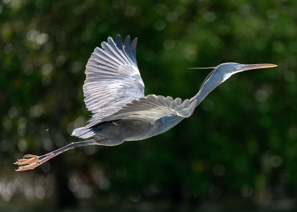 Photograph by Александр Робин