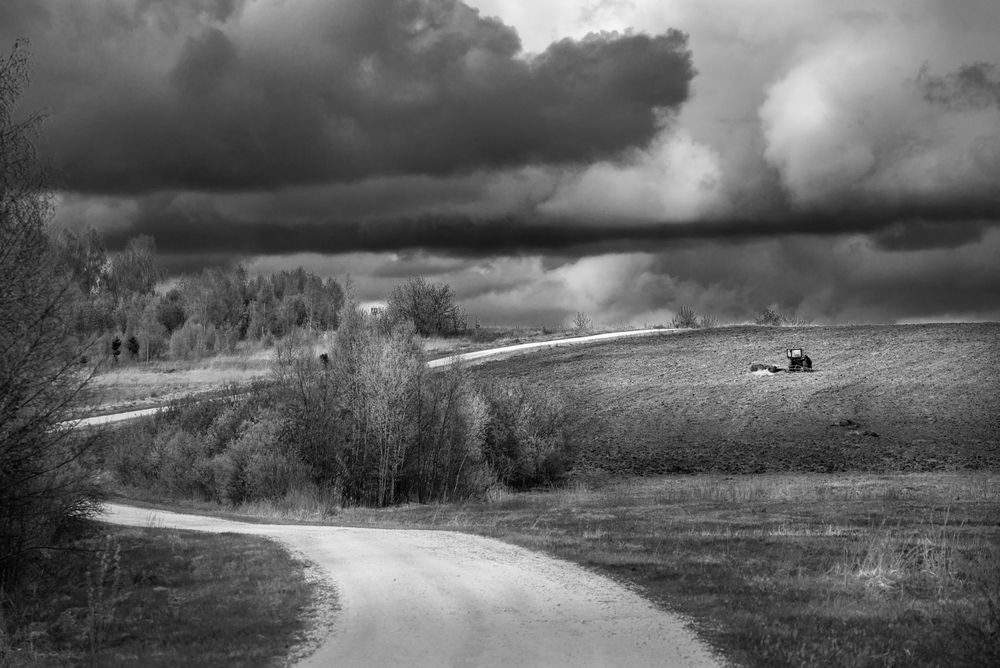 Photograph by Алексеев Дмитрий