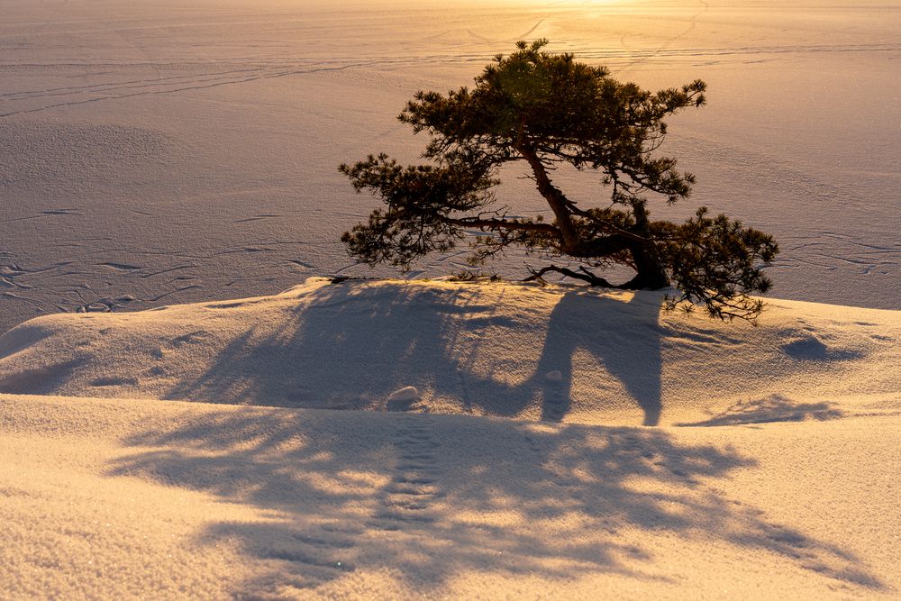Photograph by Елена Головкина
