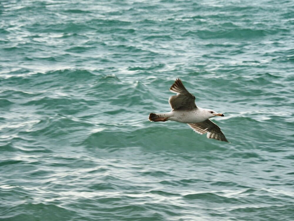 Photograph by Сергей Борисов