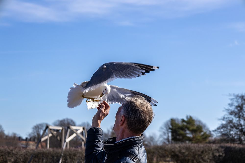 Photograph by Наталья Катюжанская