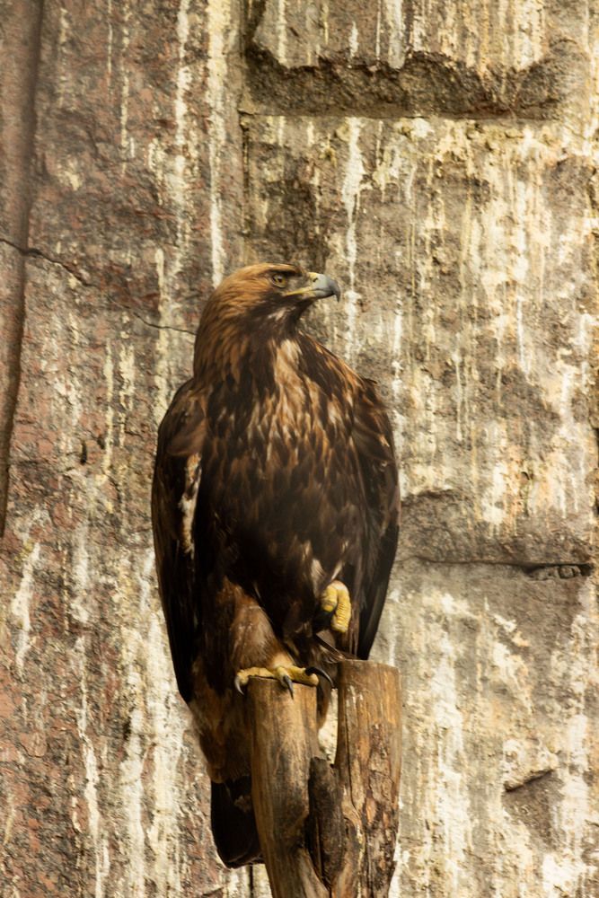 Photograph by Елена Ибрагимова