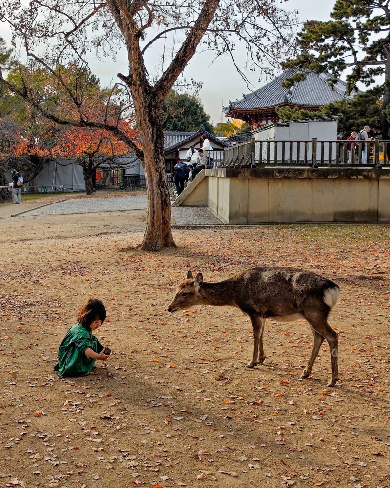 Photograph by Jovanne Amolat