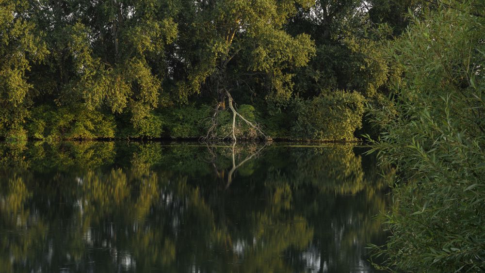 Photograph by Nikolay Penkov