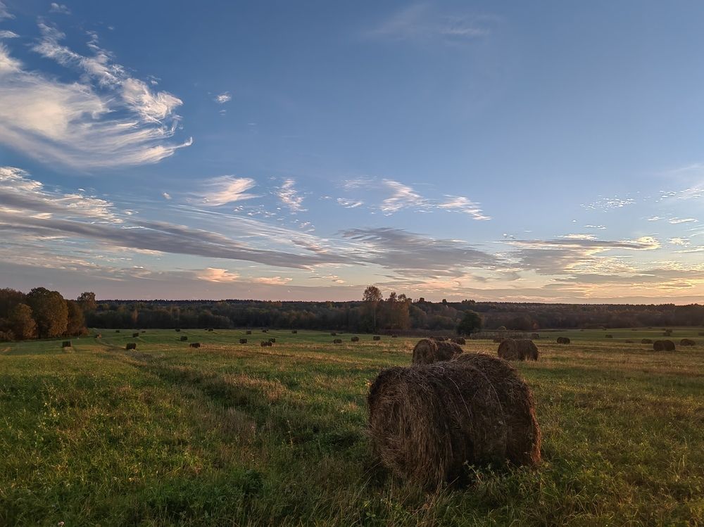 Photograph by Галина Беляева