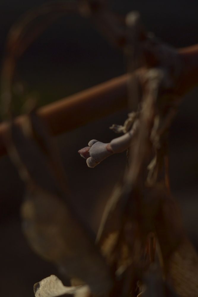 Photograph by Viktor Domnikov
