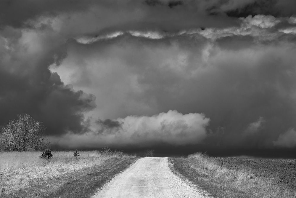 Photograph by Алексеев Дмитрий