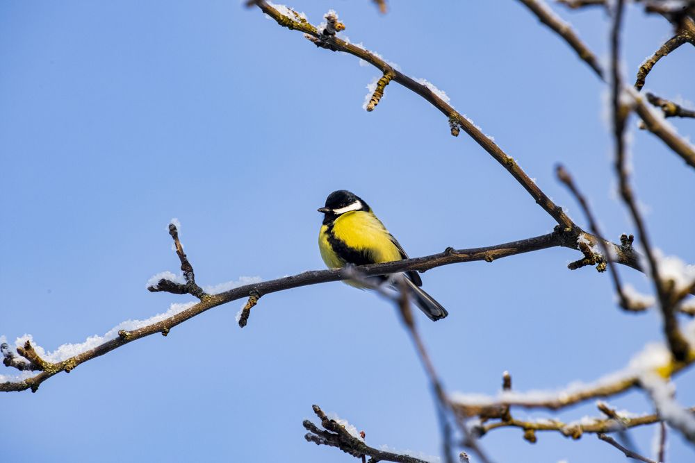 Photograph by Максим Савин