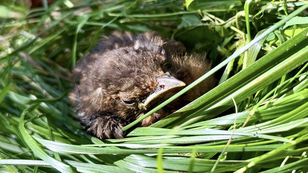 Photograph by Марина Измайлова