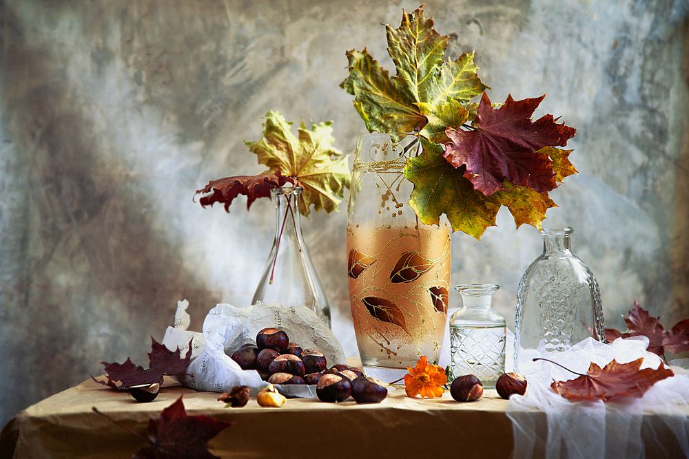 Photograph by Елена Разина