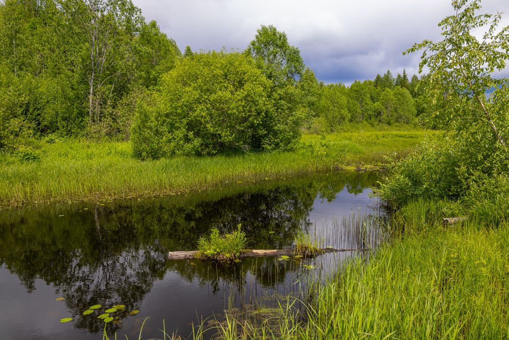 Photograph by Наталья Катюжанская