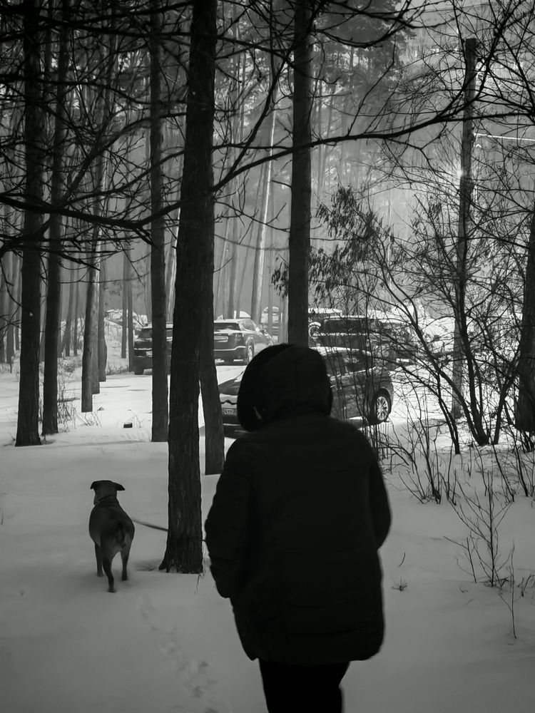 Photo #13251617