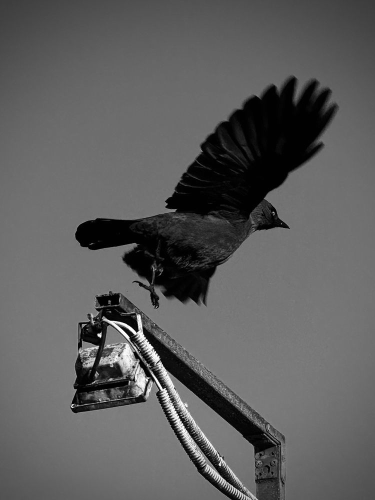Photograph by Екатерина Хузина