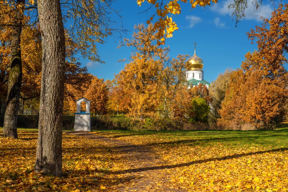 Золотая осень в Фермском парке