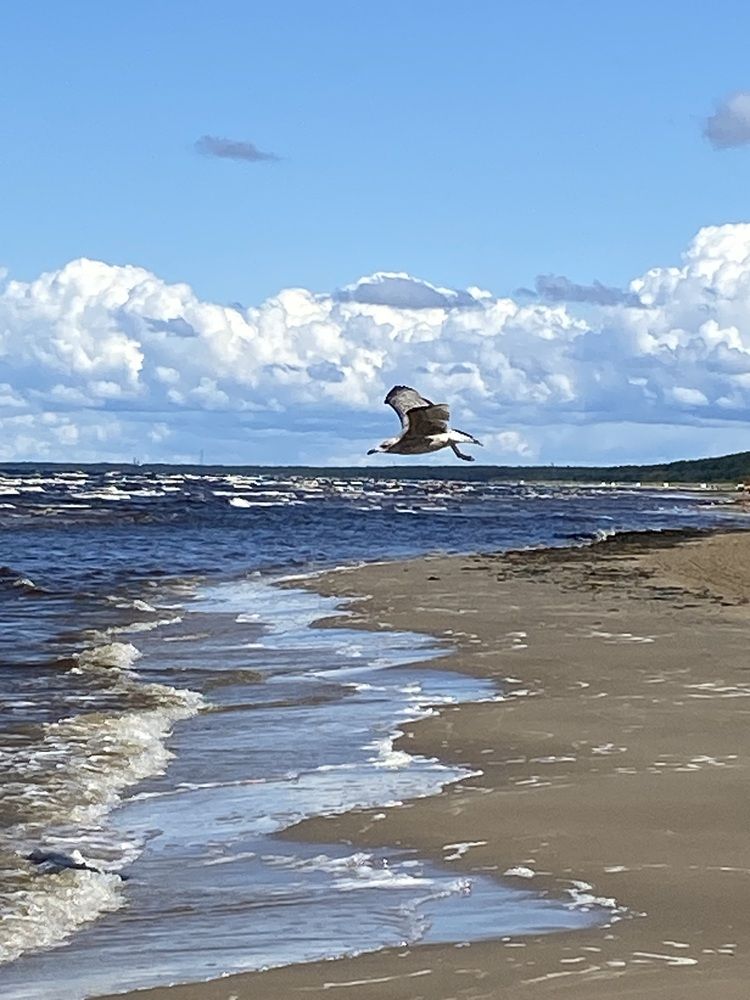 Photograph by Лидия Горностаева