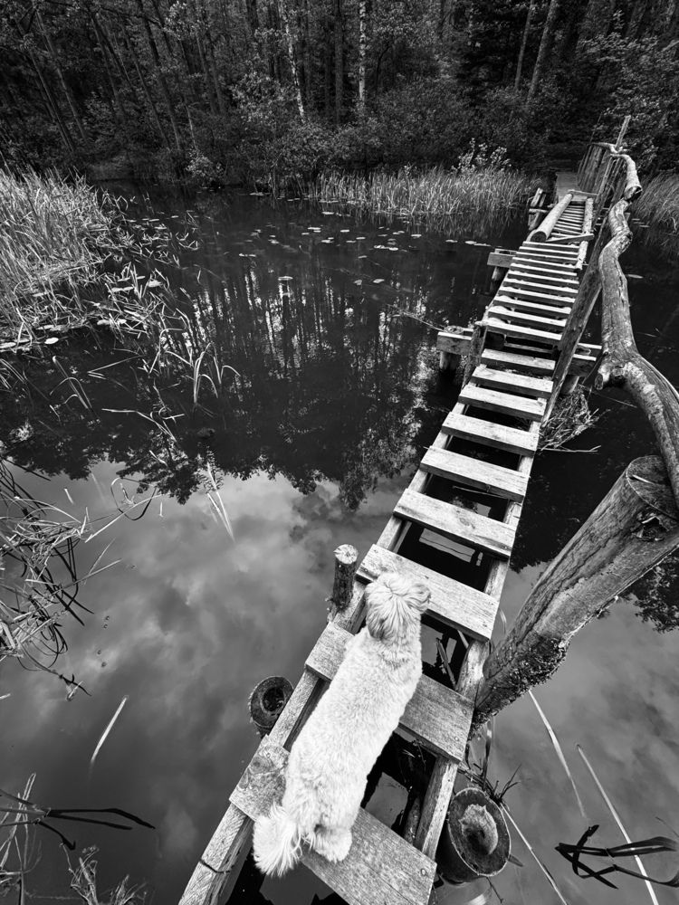 Photograph by Екатерина Хузина