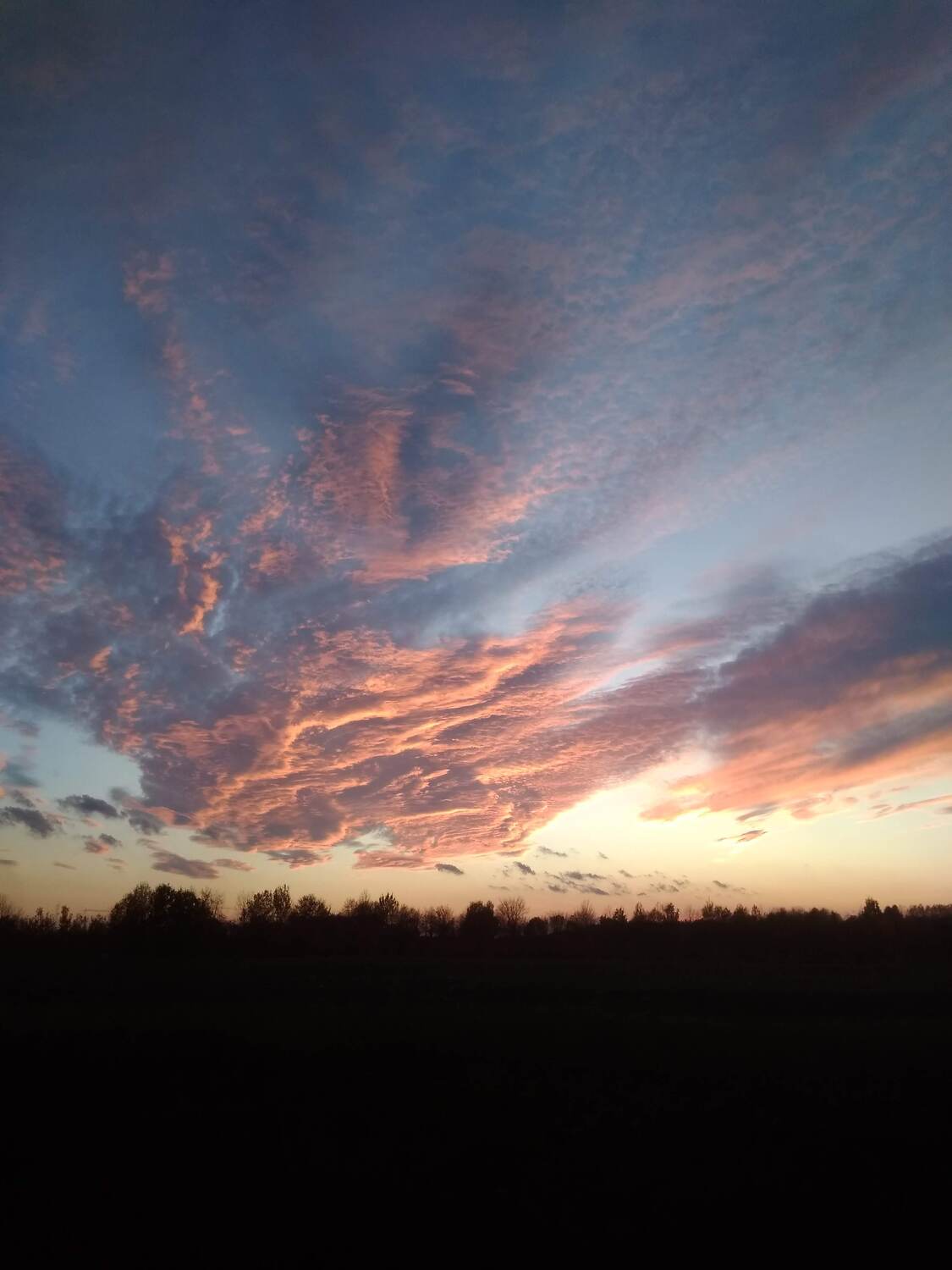Photo #13251760