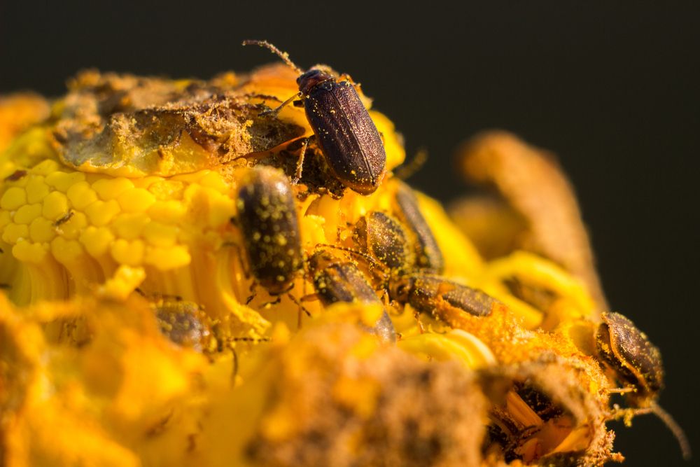 Photograph by Мария Грин (Сычёва)