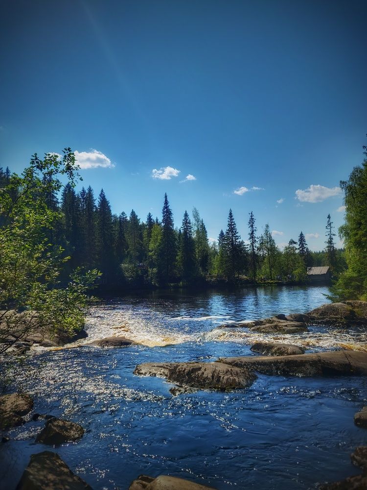 Photograph by Алена Самошина