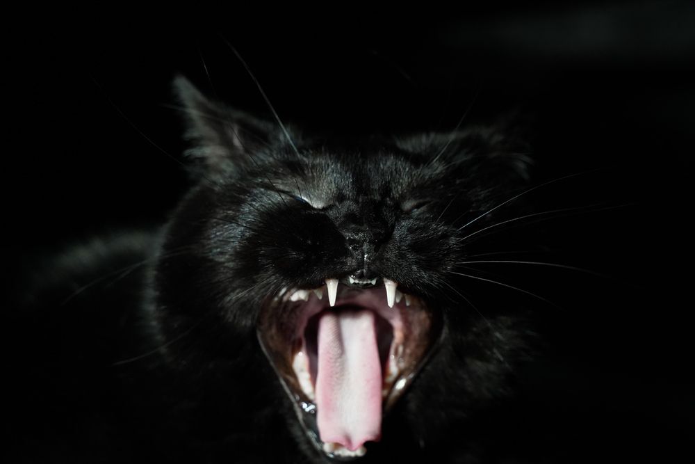 Photograph by Виринея Стрекалова