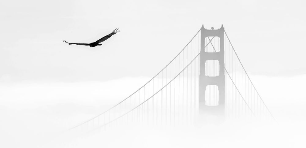 Photograph by Vladimir