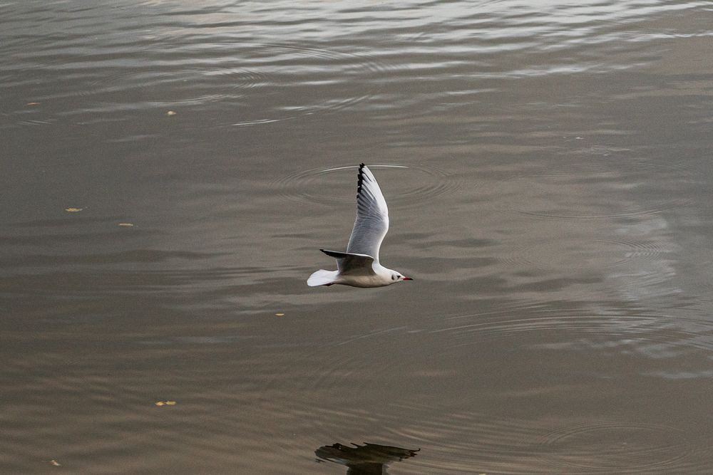 Photograph by Zen Sarac