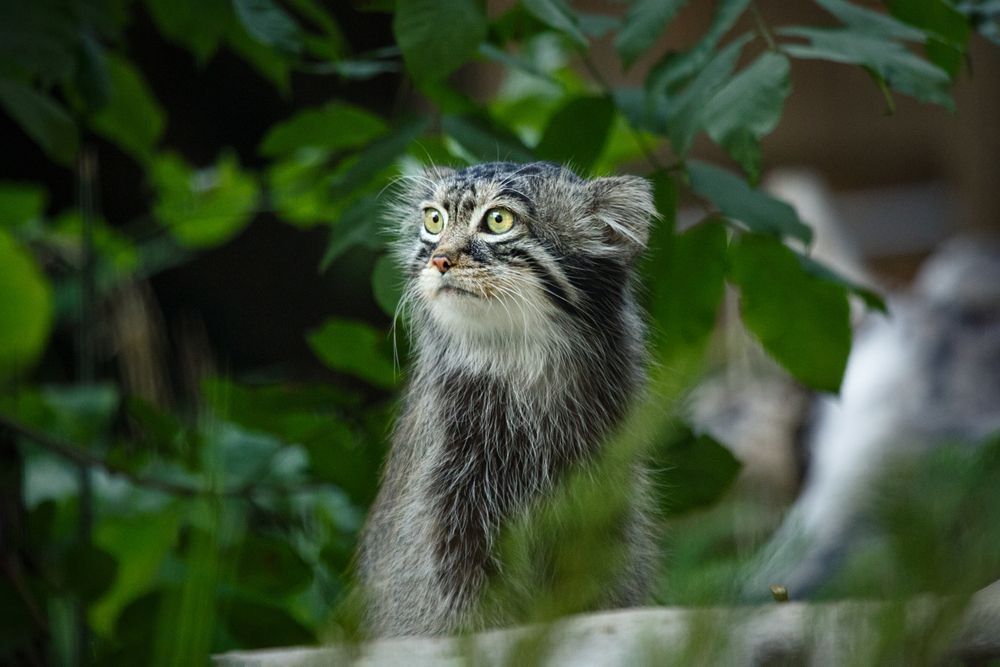 Photograph by Владимир Степнёв