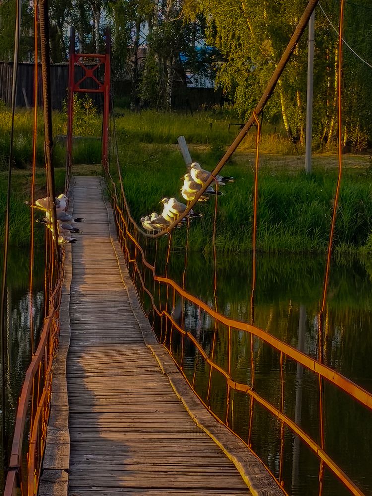 Photograph by Екатерина Шилина