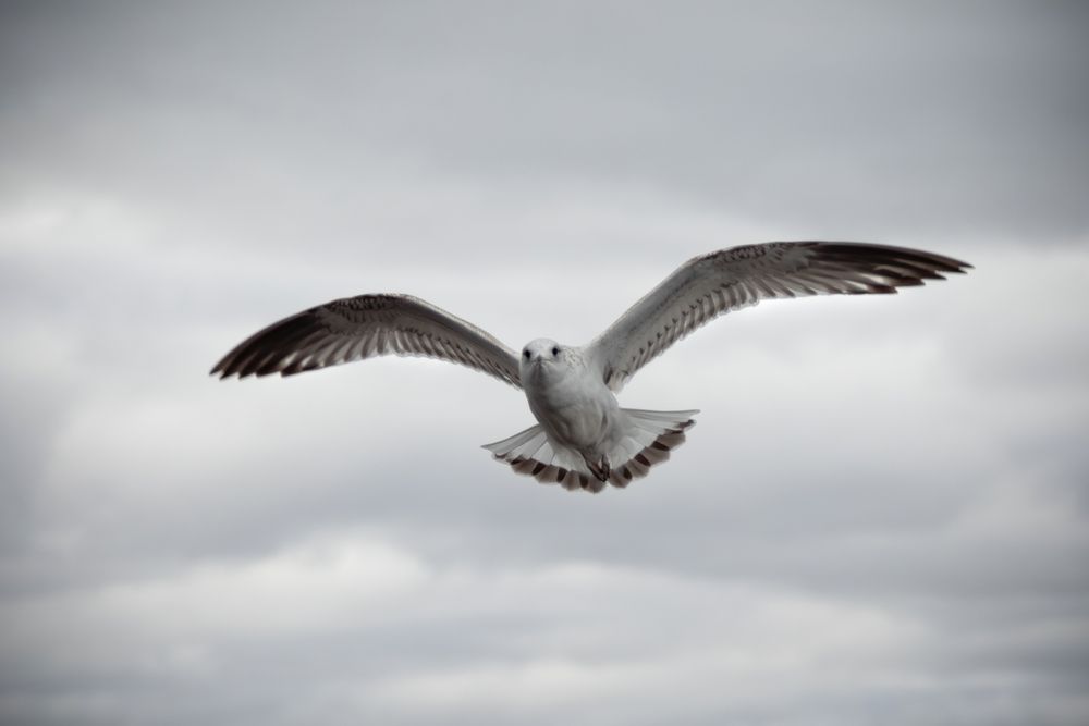 Photograph by Sergey Belov