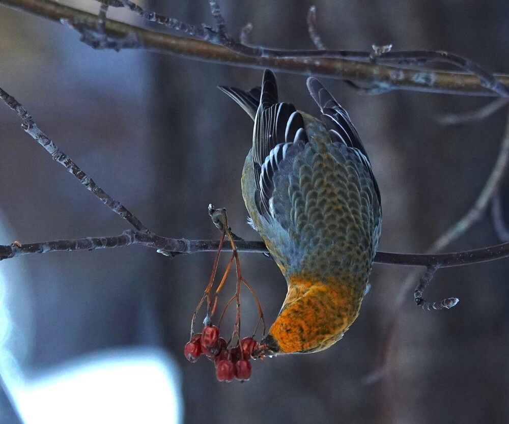 Photograph by Zakharov Matvey