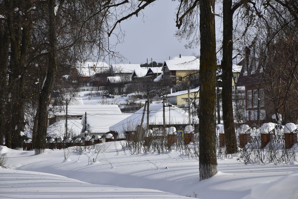 Photograph by Анастасия Данина