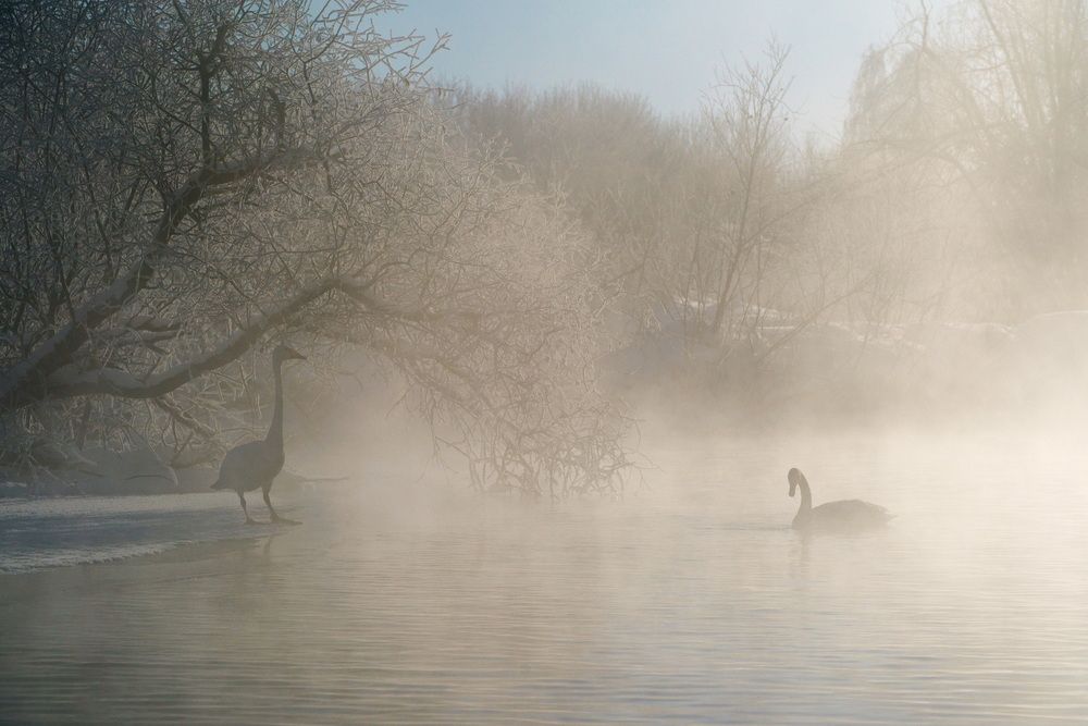 Холодный рассвет