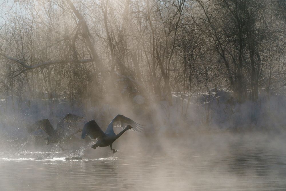 Photograph by Kirill