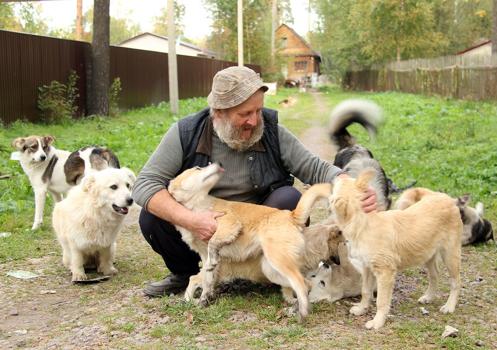 Photograph by Василий Шаля