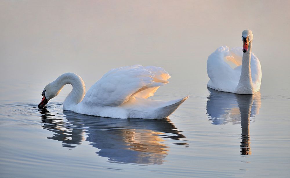 Photograph by Сергей Рытиков